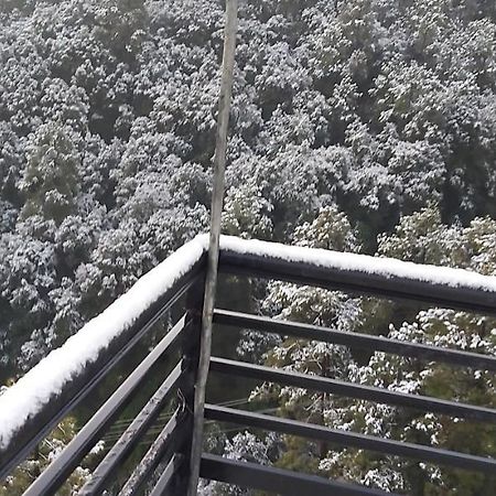 Solitude Inn Bnb Shimla Bagian luar foto