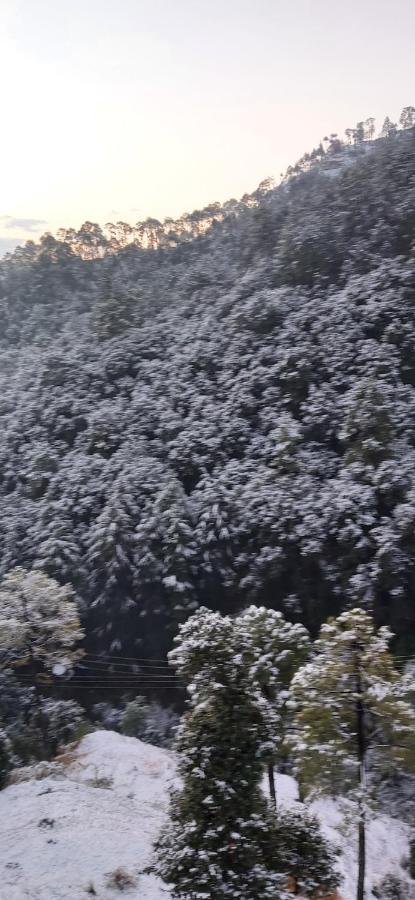 Solitude Inn Bnb Shimla Bagian luar foto